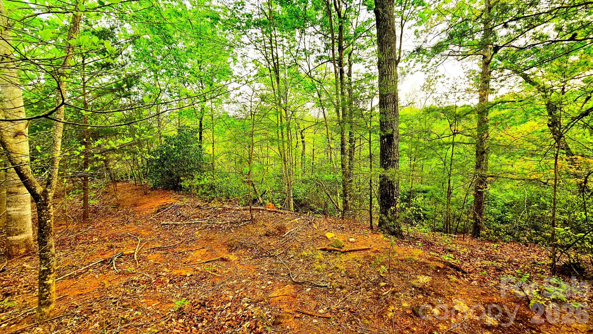 Lot 59 Bear Cliff Way Property Photo 16