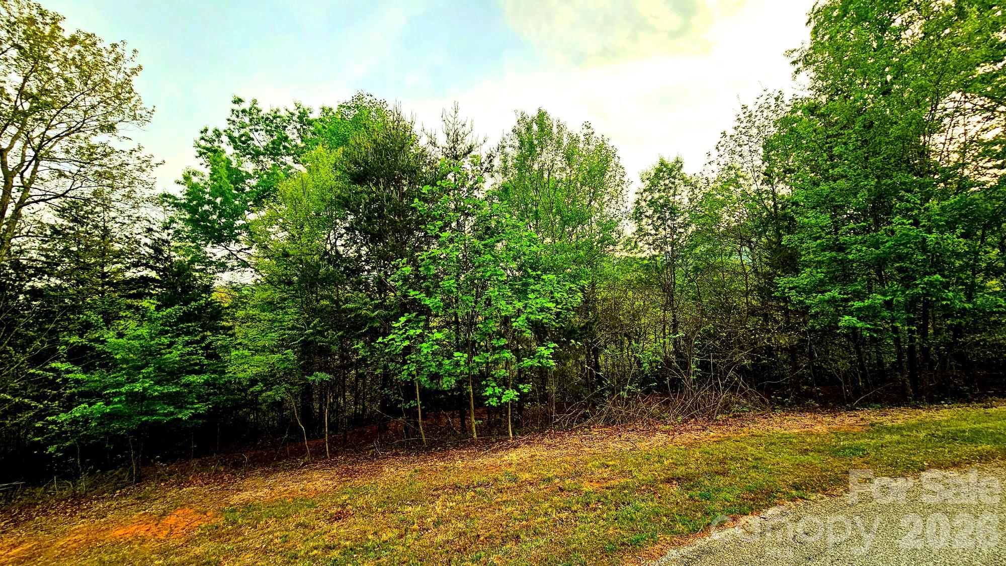 Lot 59 Bear Cliff Way Property Photo 17