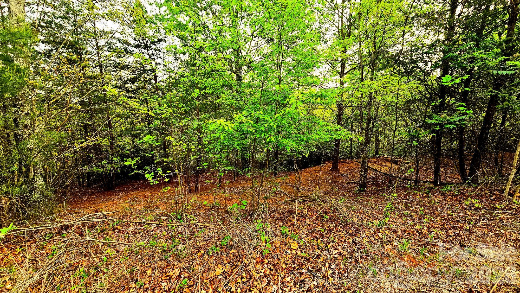 Lot 59 Bear Cliff Way Property Photo 18