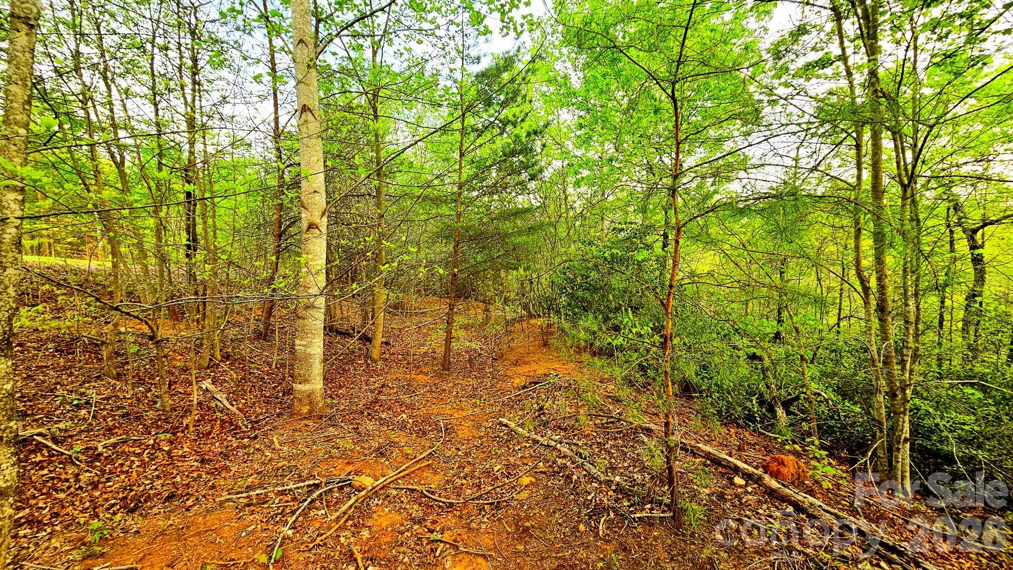 Lot 59 Bear Cliff Way Property Photo 20