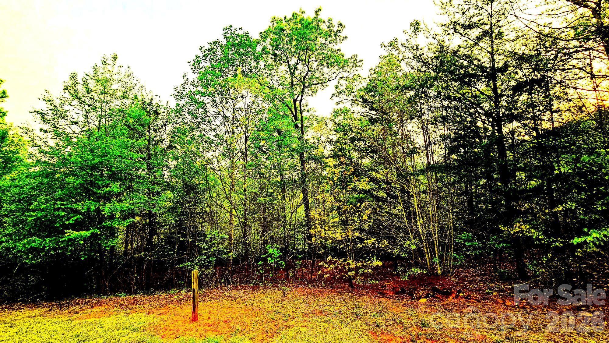 Lot 59 Bear Cliff Way Property Photo 21