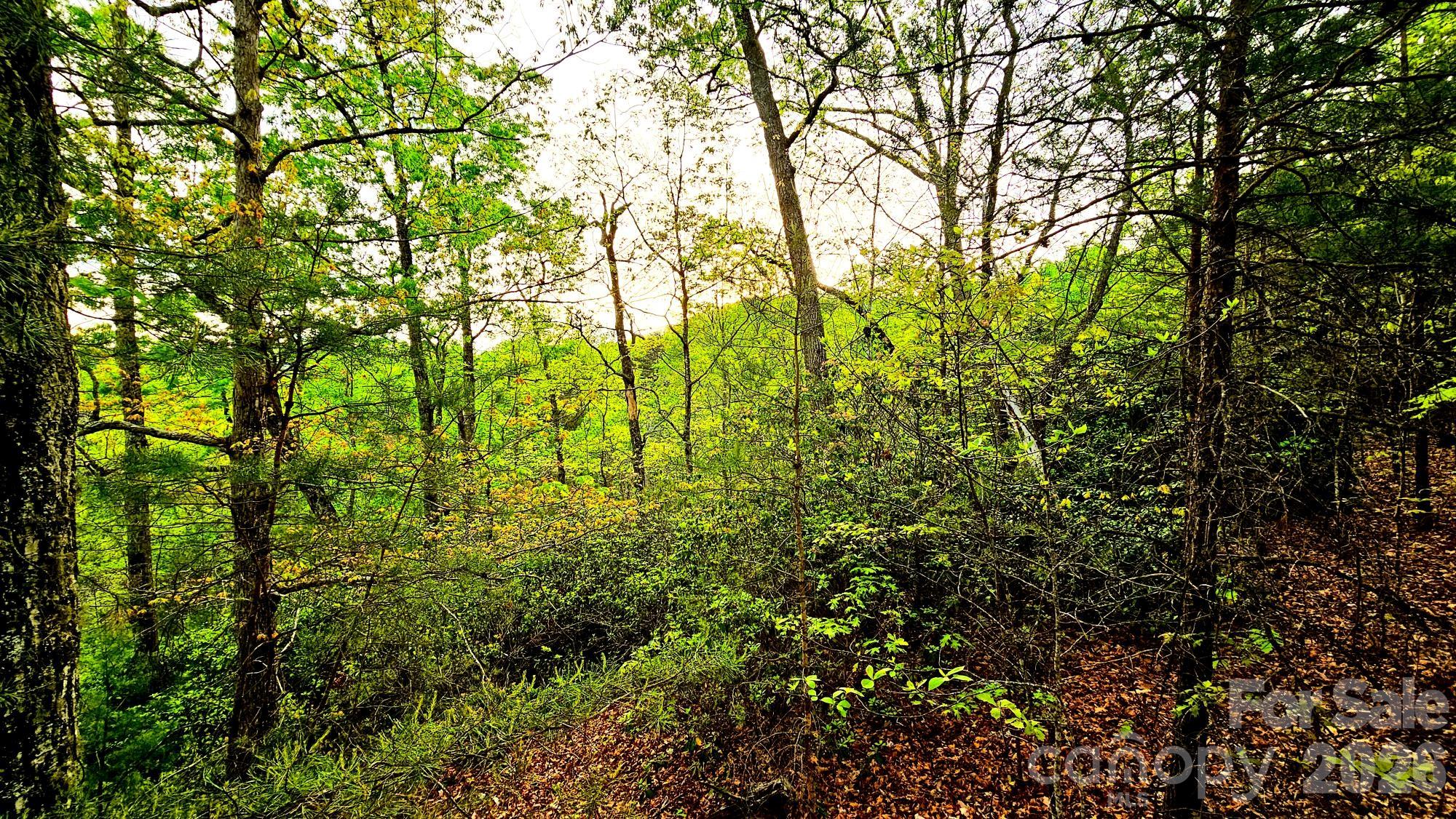 Lot 59 Bear Cliff Way Property Photo 22