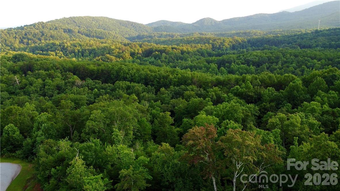 Lot 59 Bear Cliff Way Property Photo 24
