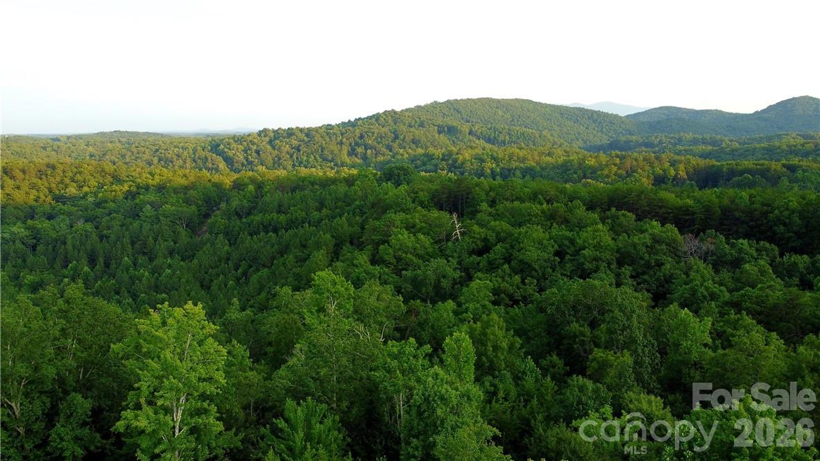 Lot 59 Bear Cliff Way Property Photo 25