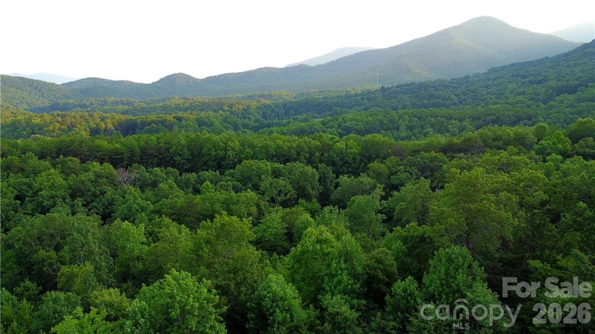 Lot 59 Bear Cliff Way Property Photo 27