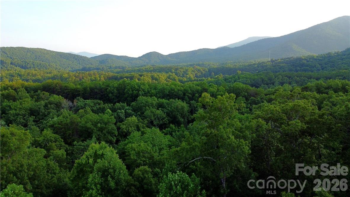 Lot 59 Bear Cliff Way Property Photo 28