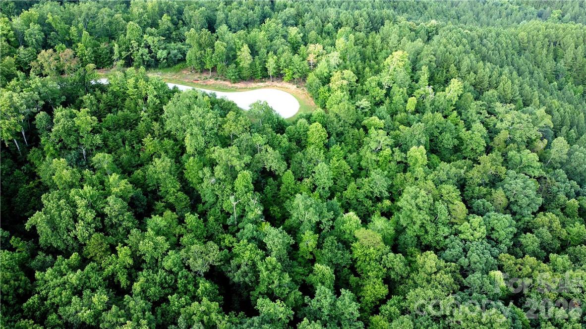 Lot 59 Bear Cliff Way Property Photo 30
