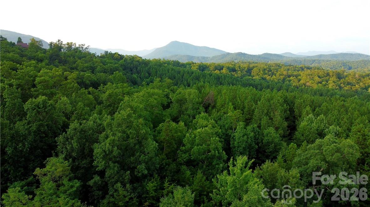 Lot 59 Bear Cliff Way Property Photo 31