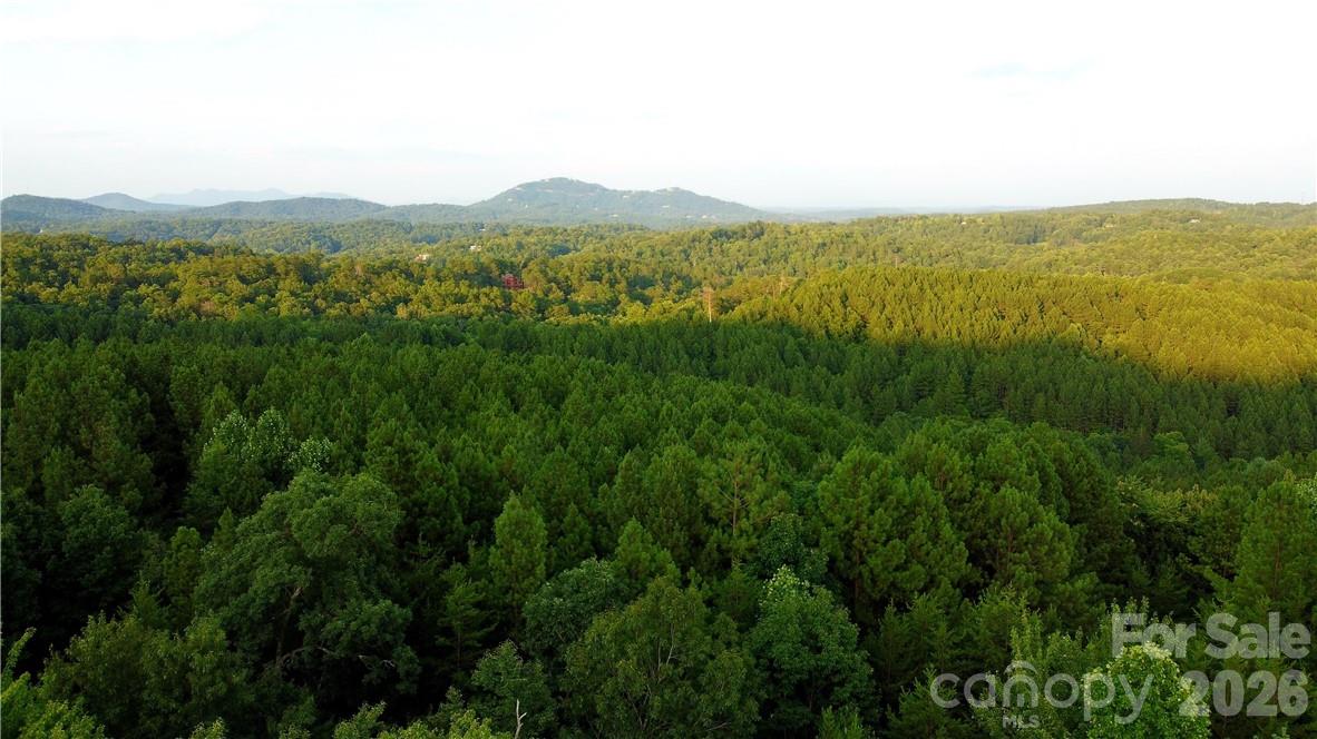 Lot 59 Bear Cliff Way Property Photo 32