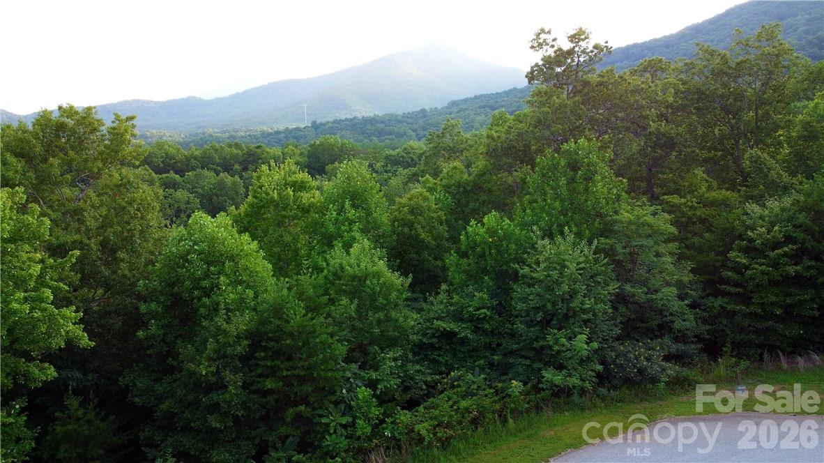 Lot 59 Bear Cliff Way Property Photo 33