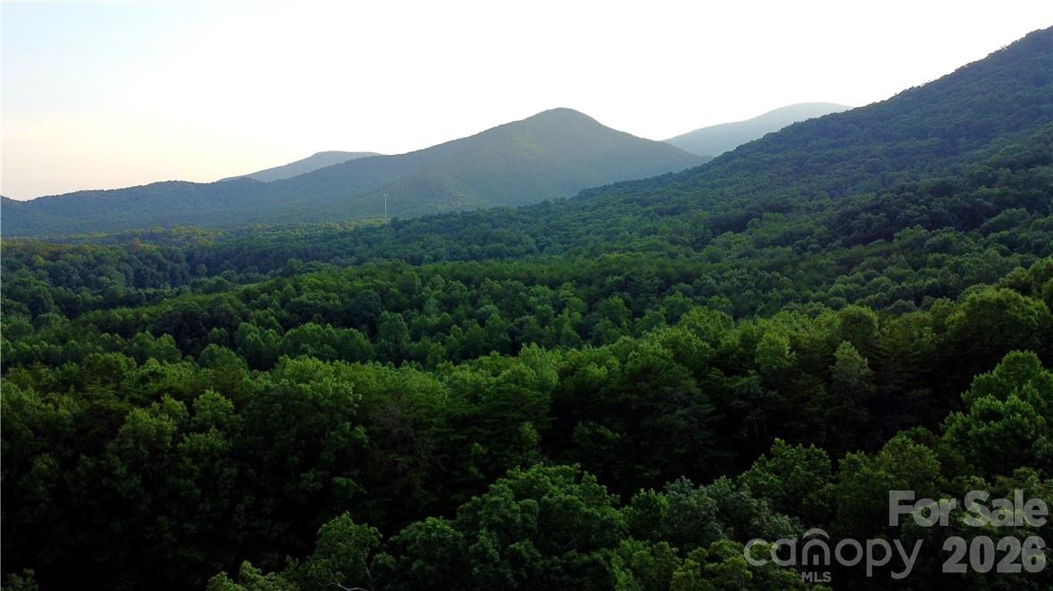 Lot 59 Bear Cliff Way Property Photo 36