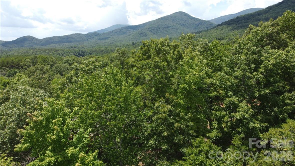 Lot 59 Bear Cliff Way Property Photo 37