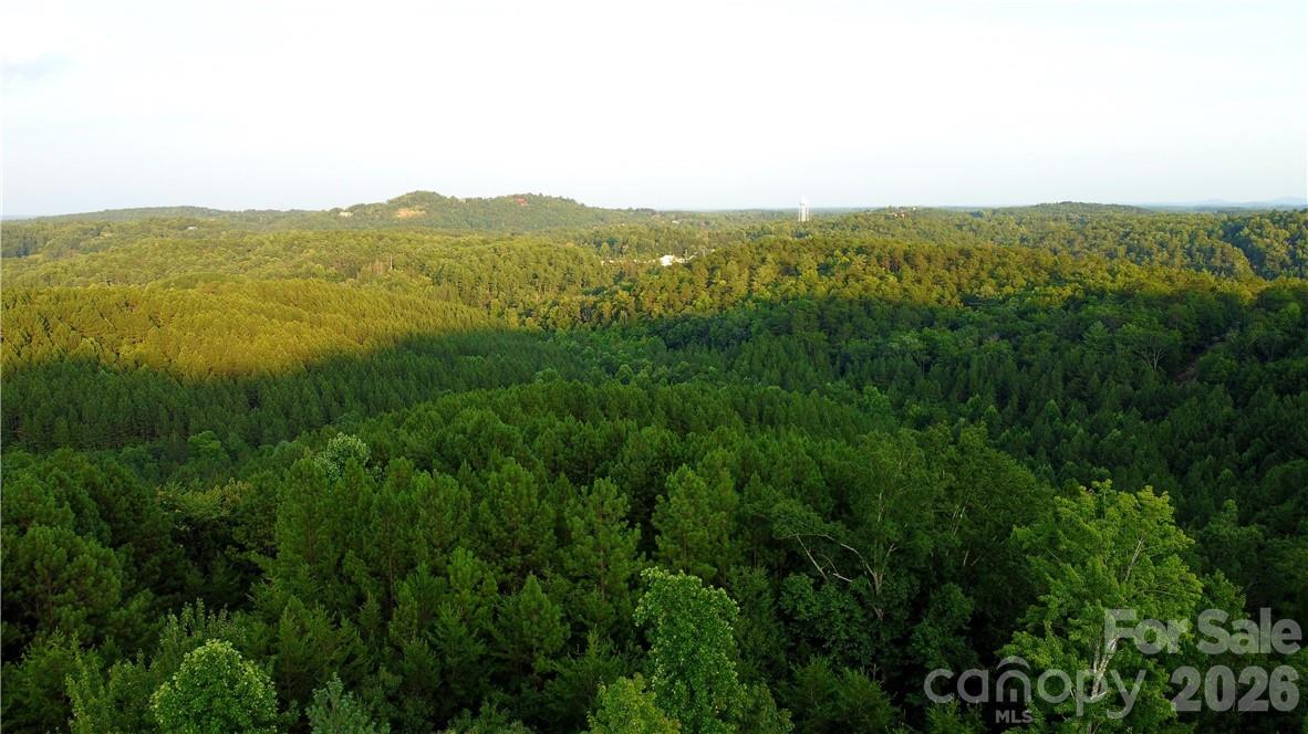 Lot 59 Bear Cliff Way Property Photo 38