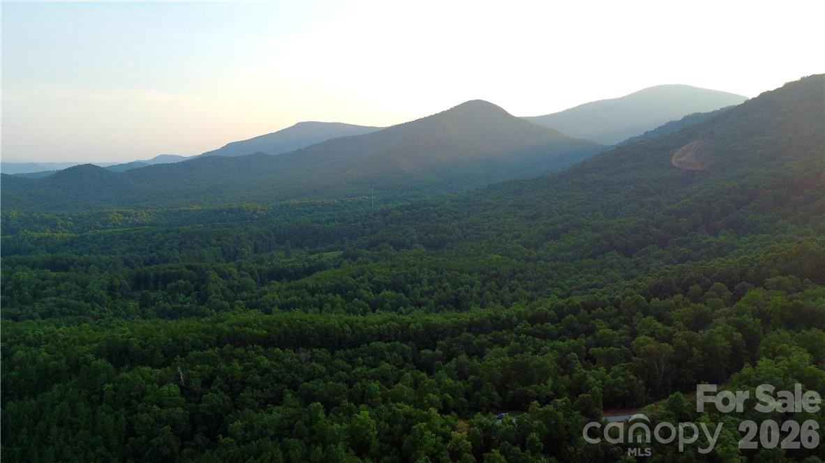 Lot 59 Bear Cliff Way Property Photo 39