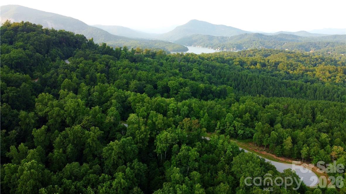 Lot 59 Bear Cliff Way Property Photo 40