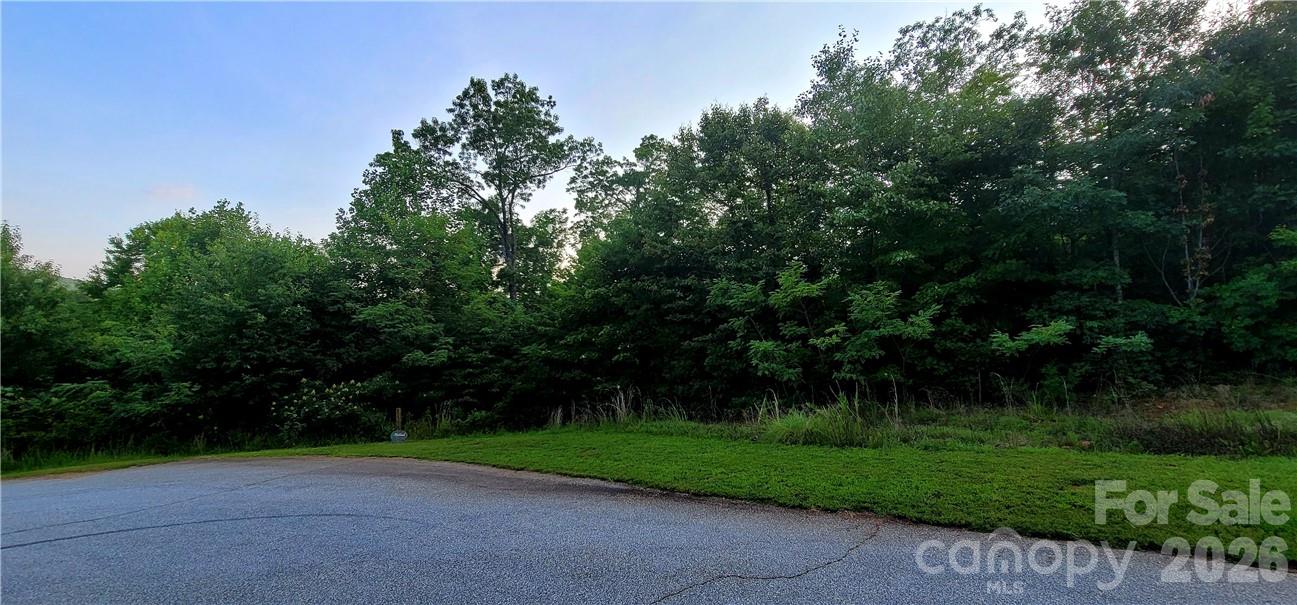 Lot 59 Bear Cliff Way Property Photo 41