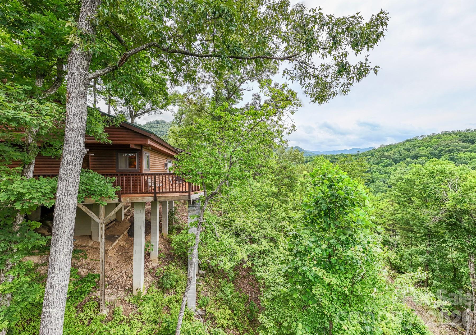 307 Blue Ridge Parkway Property Photo 2