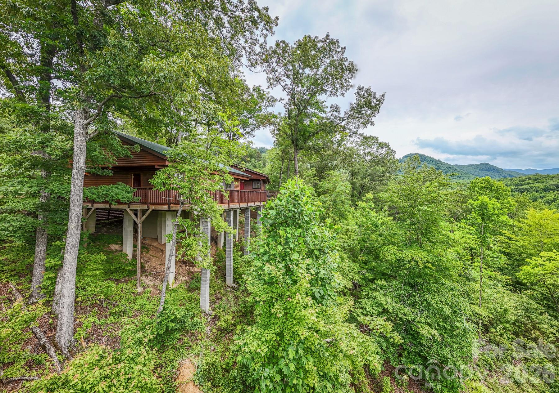 307 Blue Ridge Parkway Property Photo 8