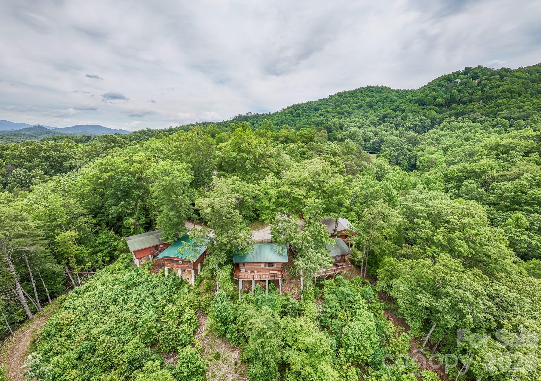 307 Blue Ridge Parkway Property Photo 9