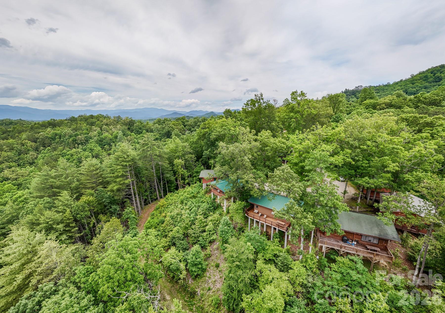 307 Blue Ridge Parkway Property Photo 10