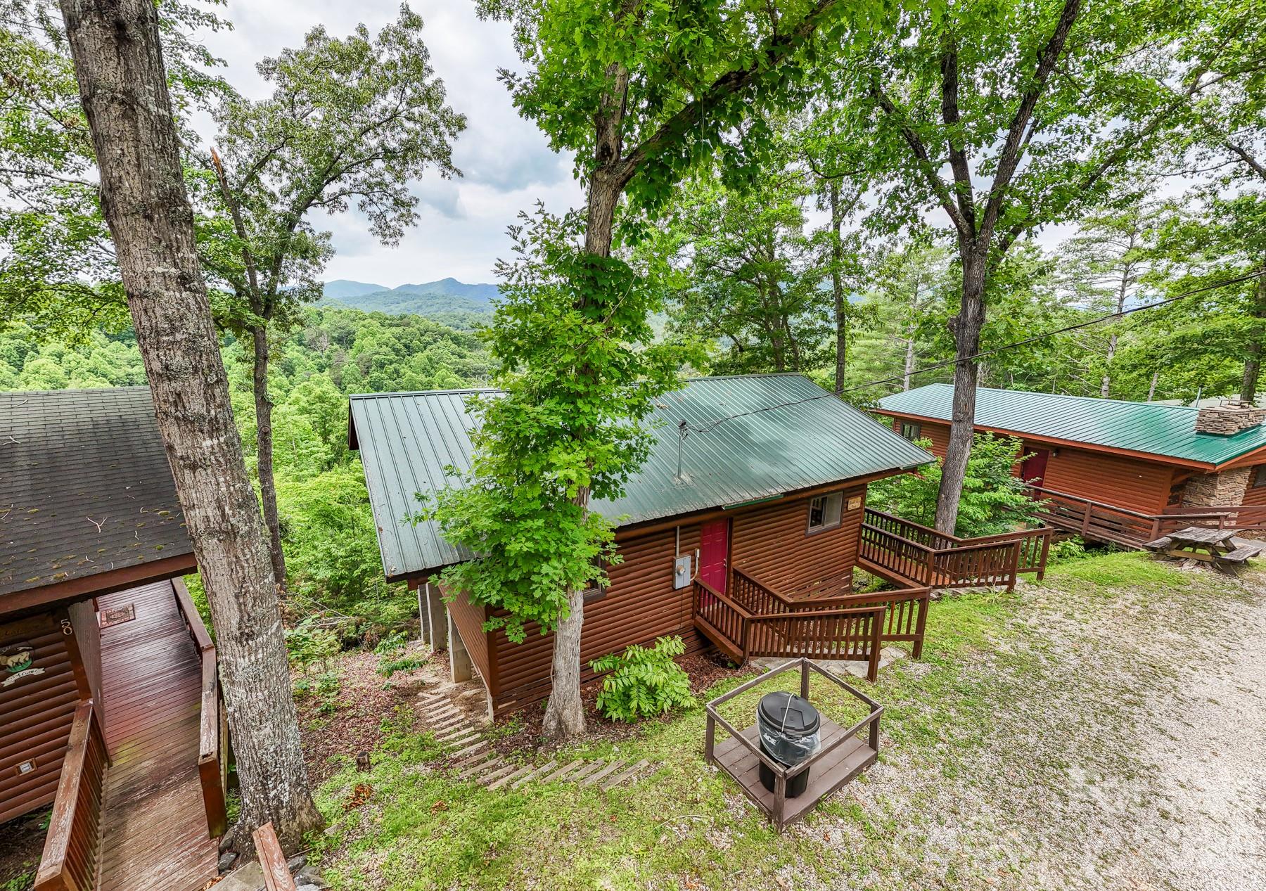 307 Blue Ridge Parkway Property Photo 13