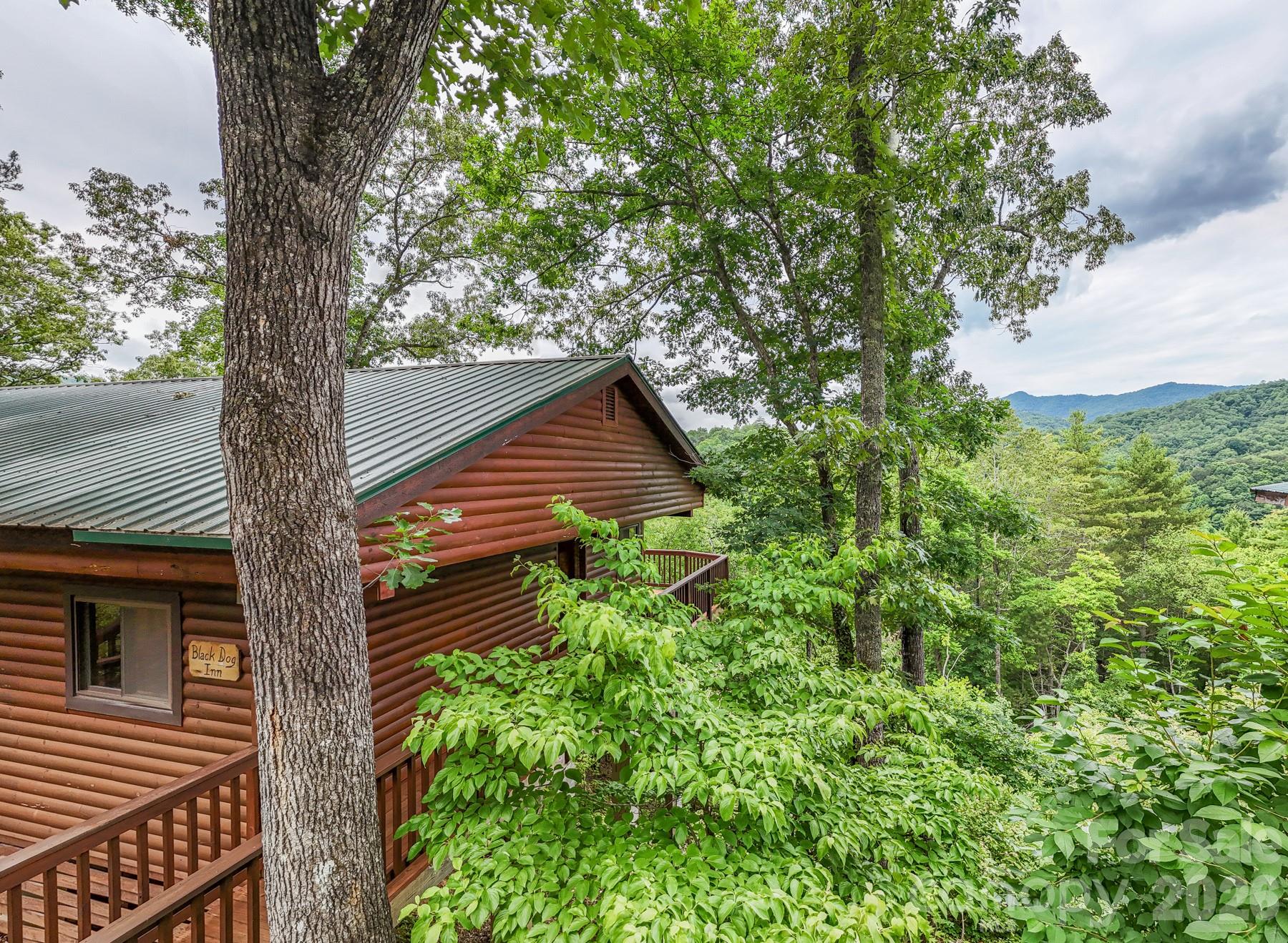 307 Blue Ridge Parkway Property Photo 15