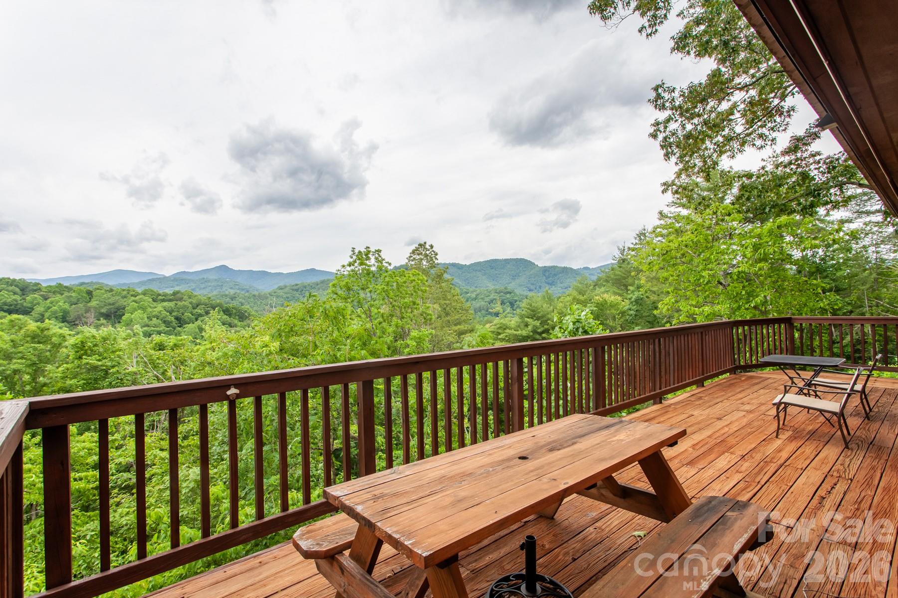 307 Blue Ridge Parkway Property Photo 21