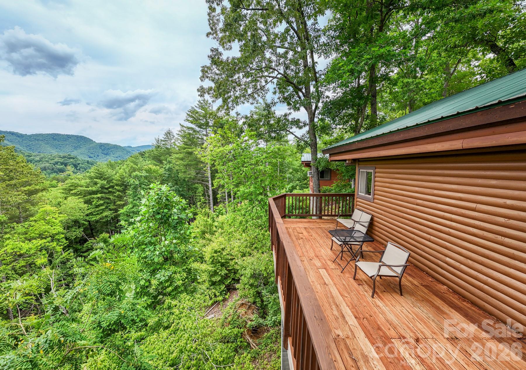 307 Blue Ridge Parkway Property Photo 23