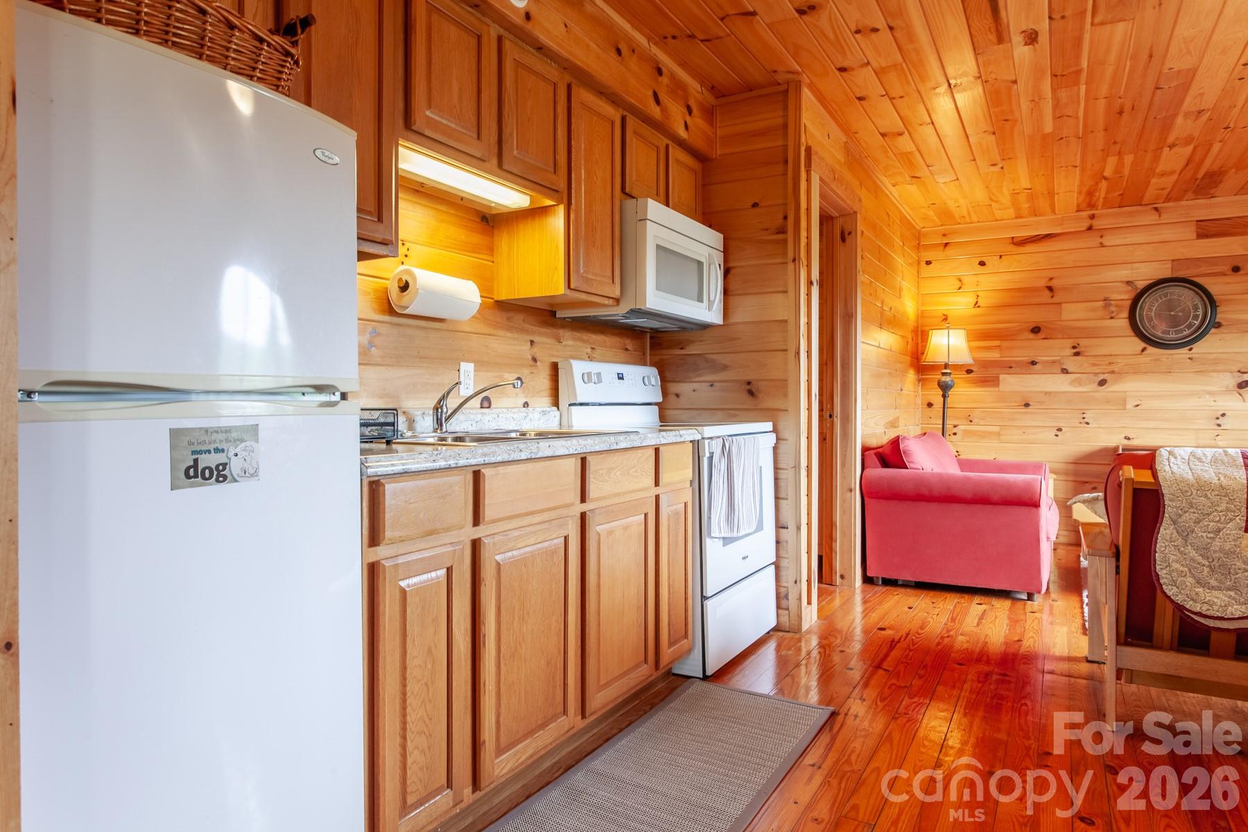 307 Blue Ridge Parkway Property Photo 30