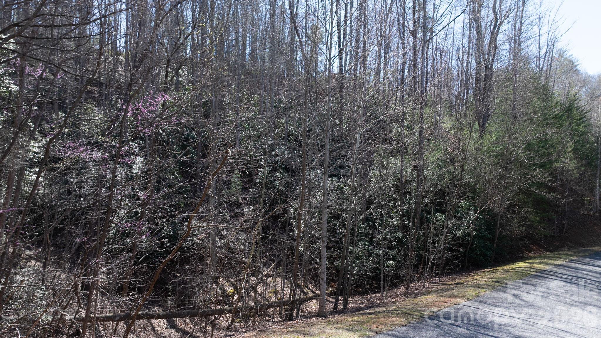 1342 High Trail Drive Lot 27-11 Property Photo 1