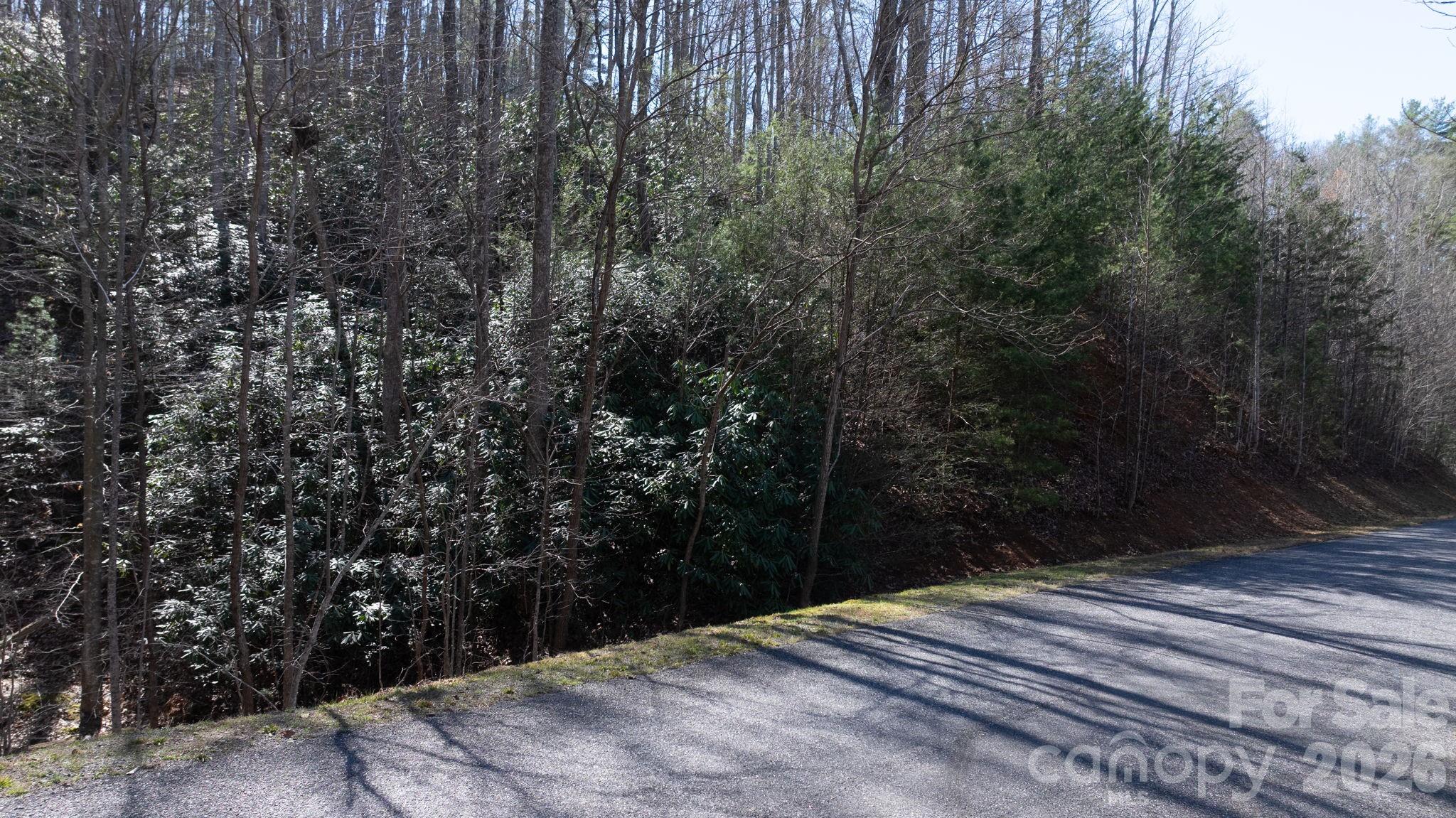 1342 High Trail Drive Lot 27-11 Property Photo 2