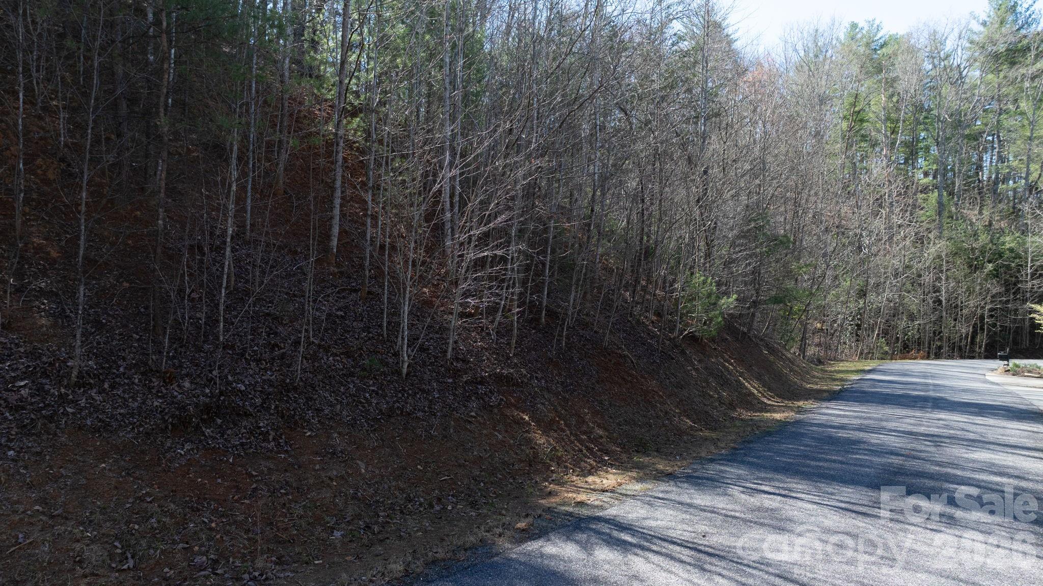 1342 High Trail Drive Lot 27-11 Property Photo 4