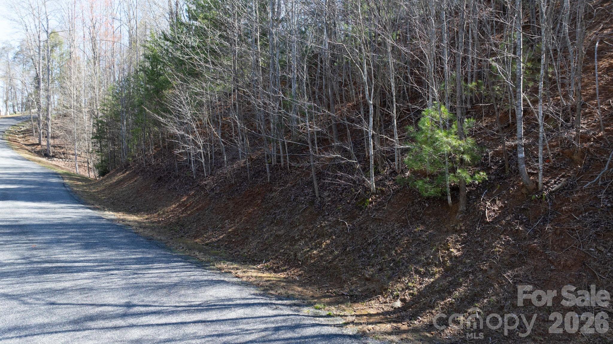 1342 High Trail Drive Lot 27-11 Property Photo 8