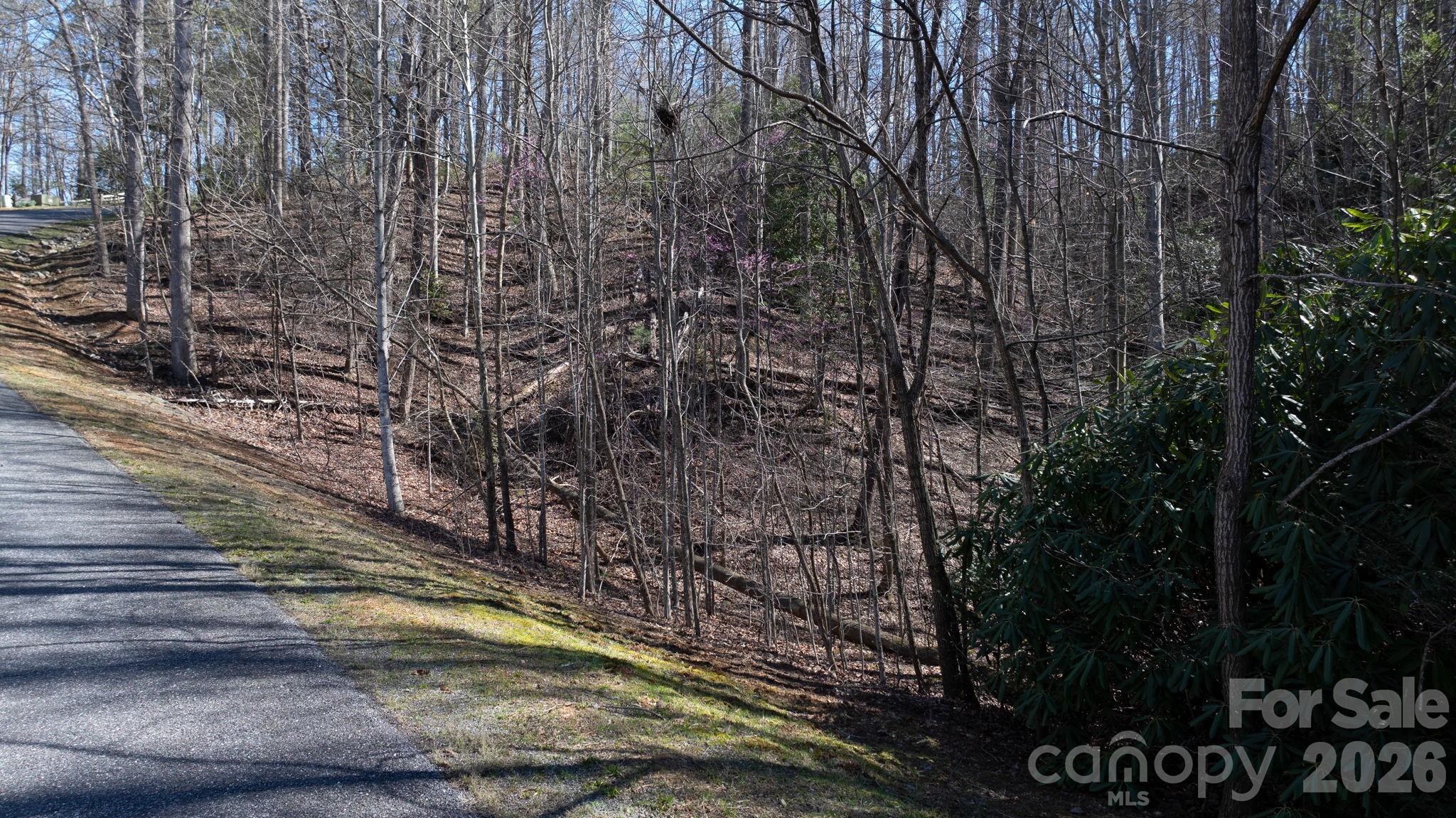 1342 High Trail Drive Lot 27-11 Property Photo 10