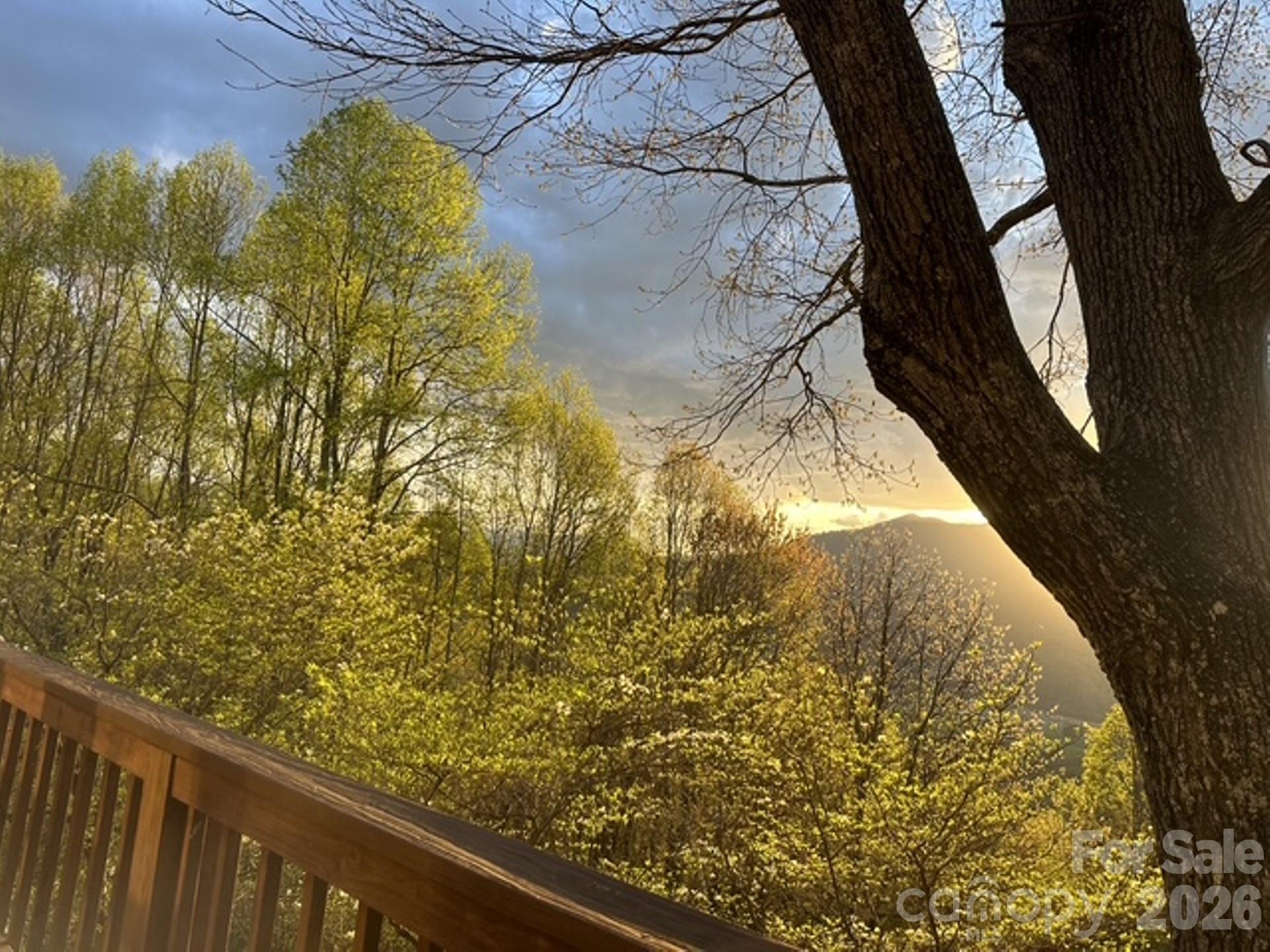415 Treetop Lane