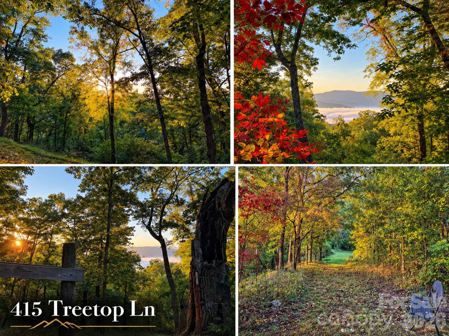 415 Treetop Lane Property Photo 3