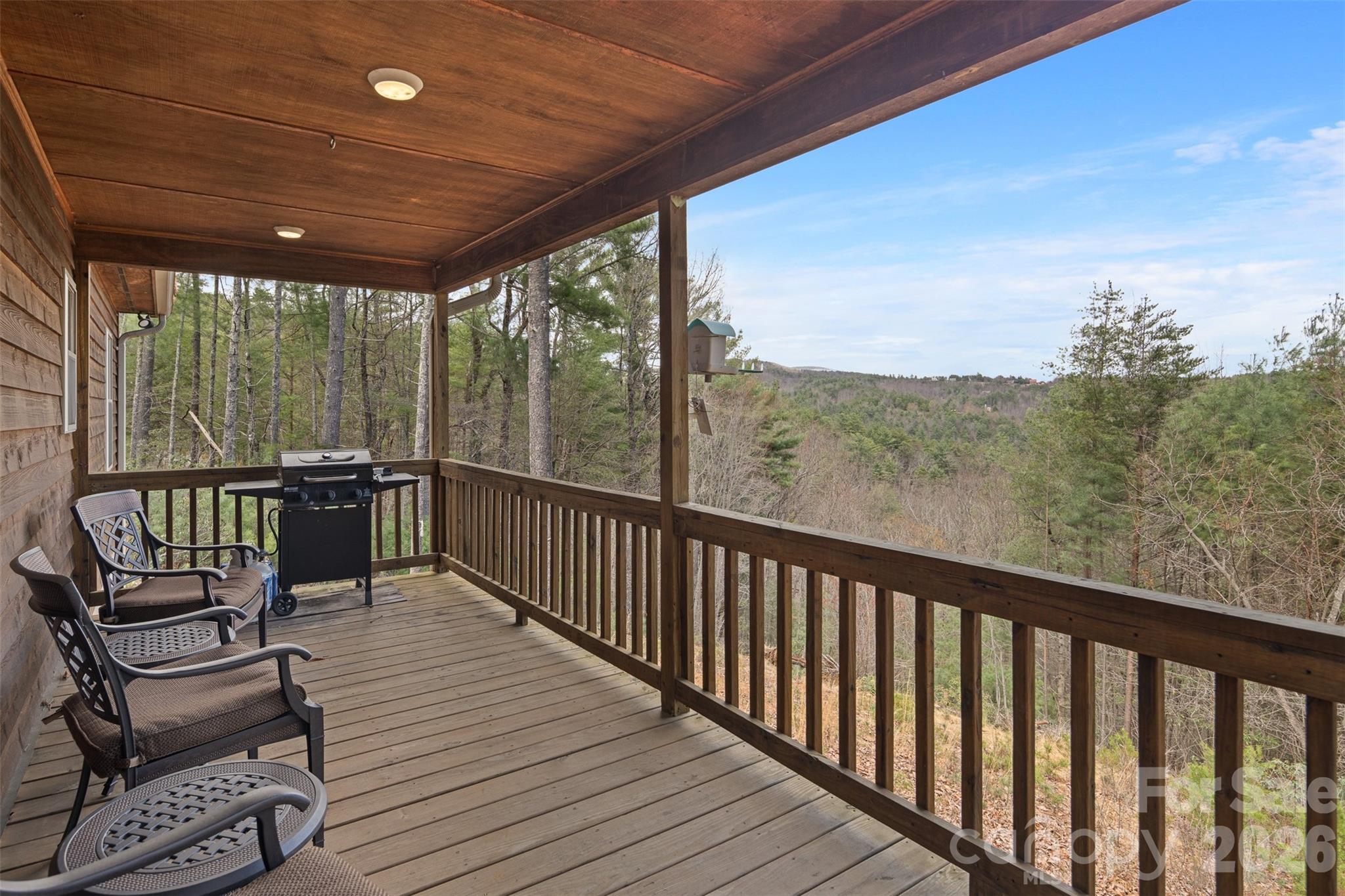 128 Deer Antler Drive Property Photo 12