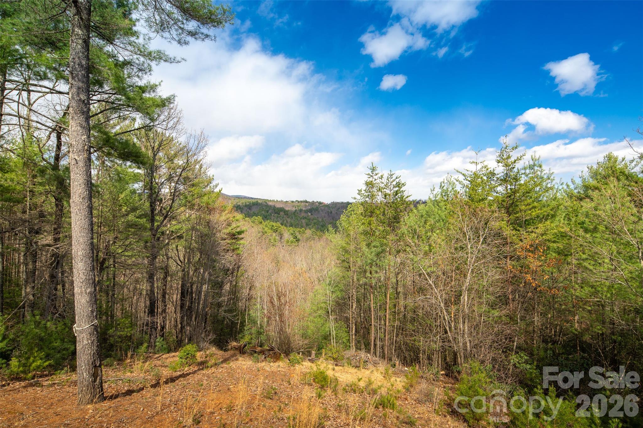 128 Deer Antler Drive Property Photo 13