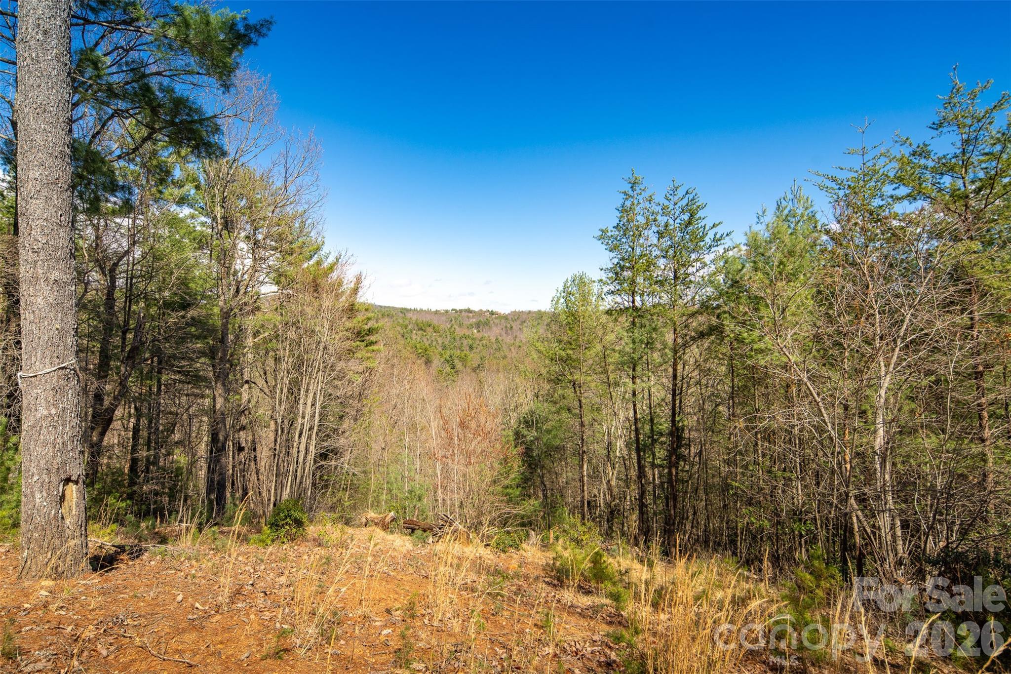128 Deer Antler Drive Property Photo 35