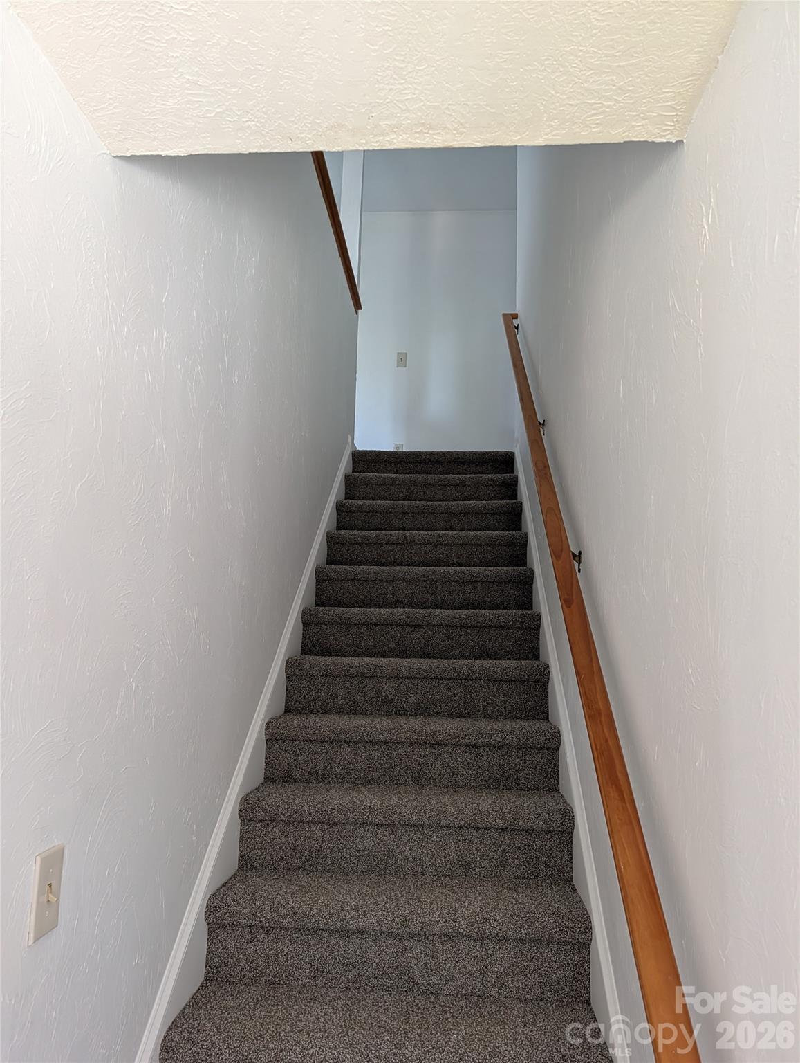 5406 Winding Oak Drive Property Photo 5