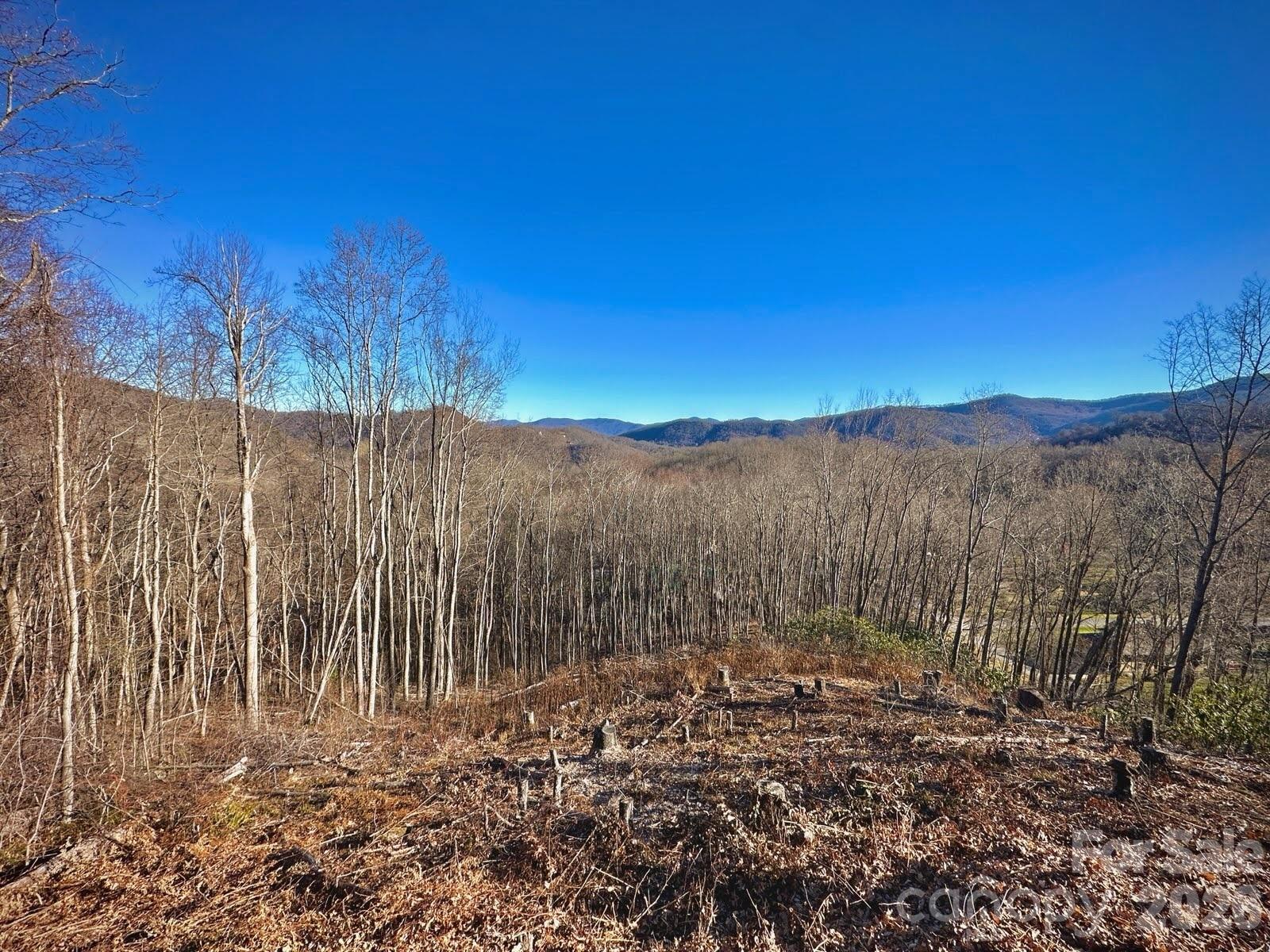 3 Mountain Watch Drive Property Photo 3