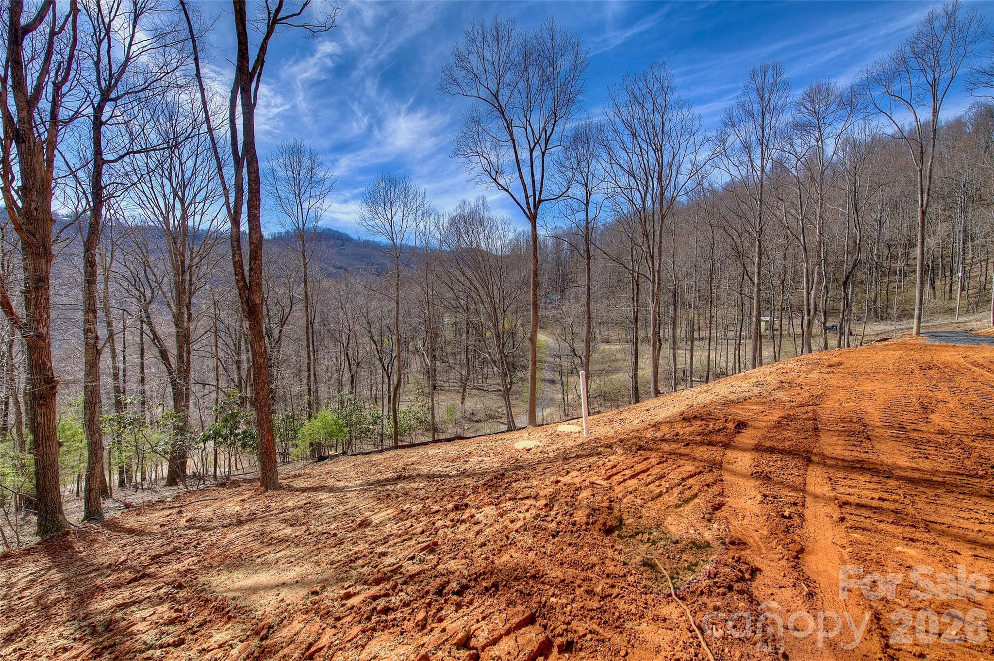 000 Poplar Trail Property Photo 3