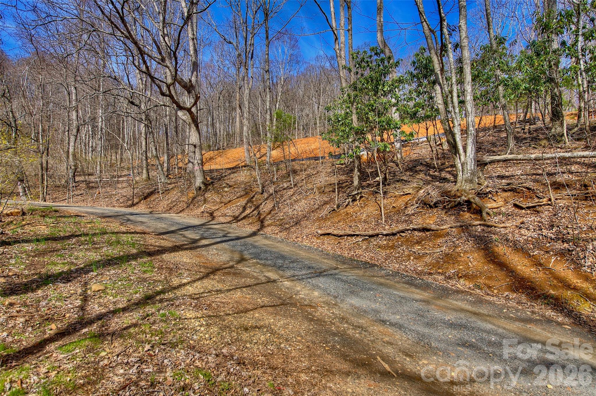 000 Poplar Trail Property Photo 4