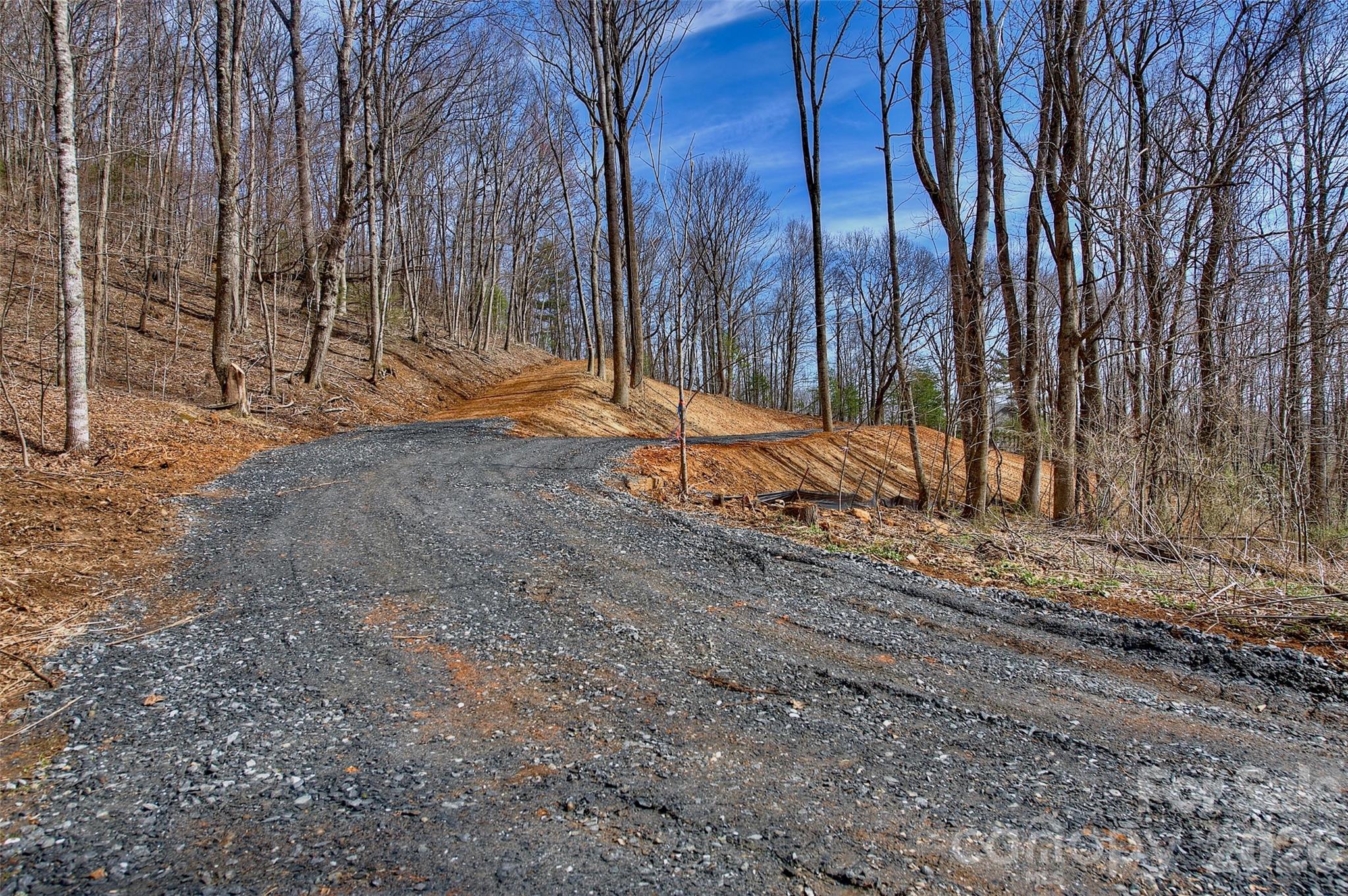 000 Poplar Trail Property Photo 6