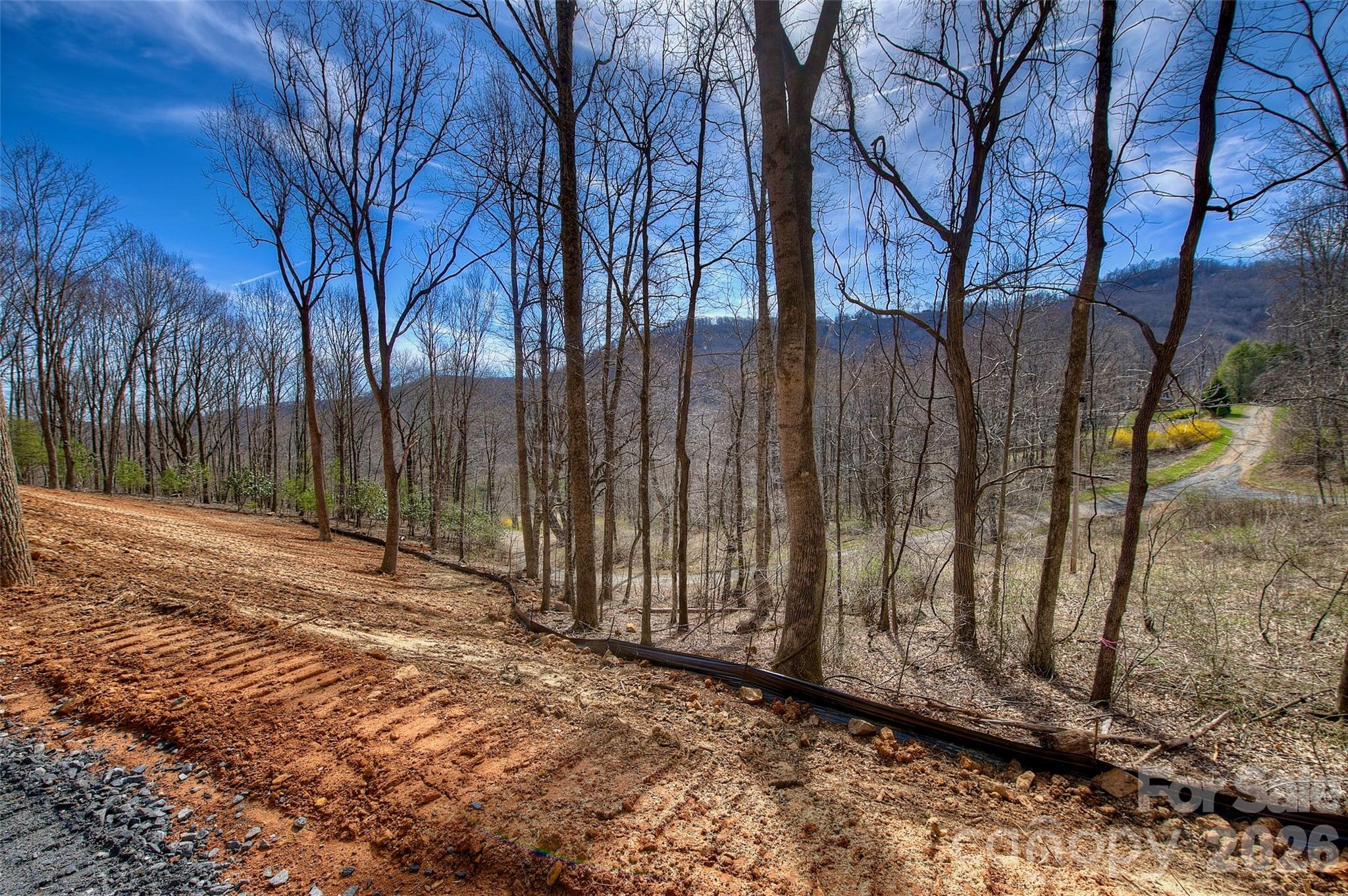 000 Poplar Trail Property Photo 8