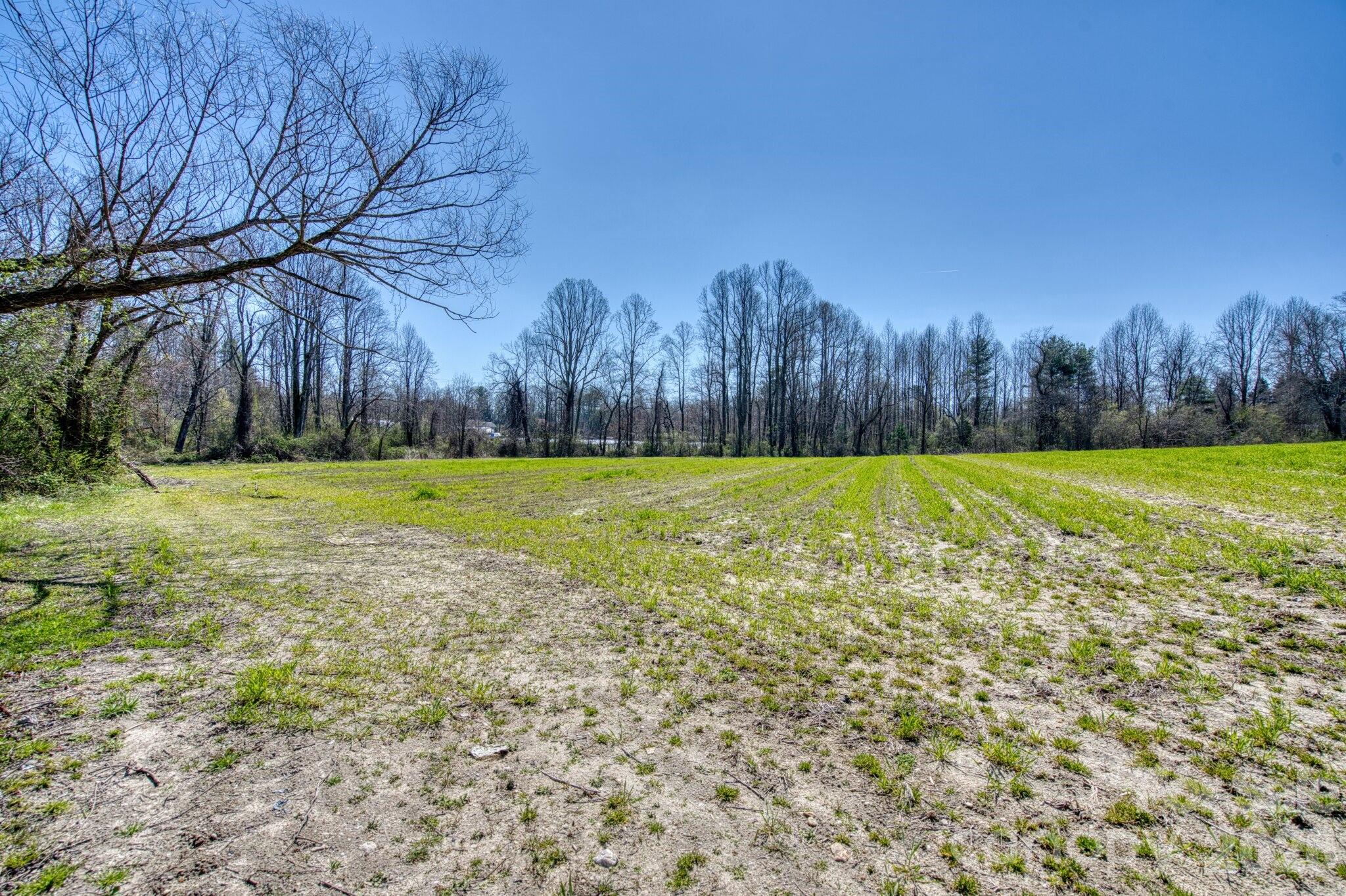 Tbd Mohican Trail Property Photo 8