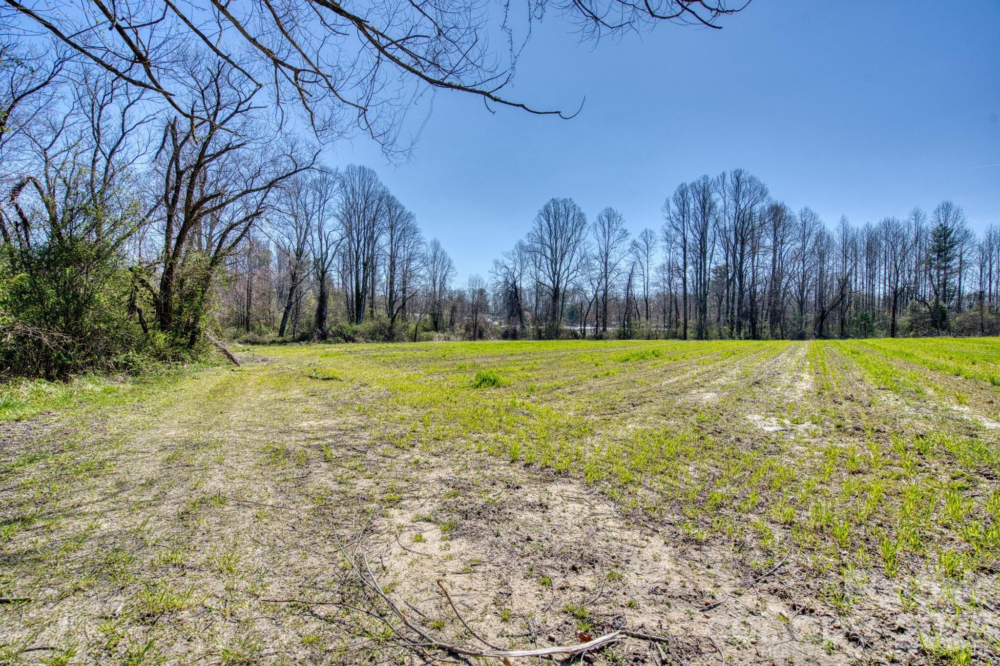 Tbd Mohican Trail Property Photo 9