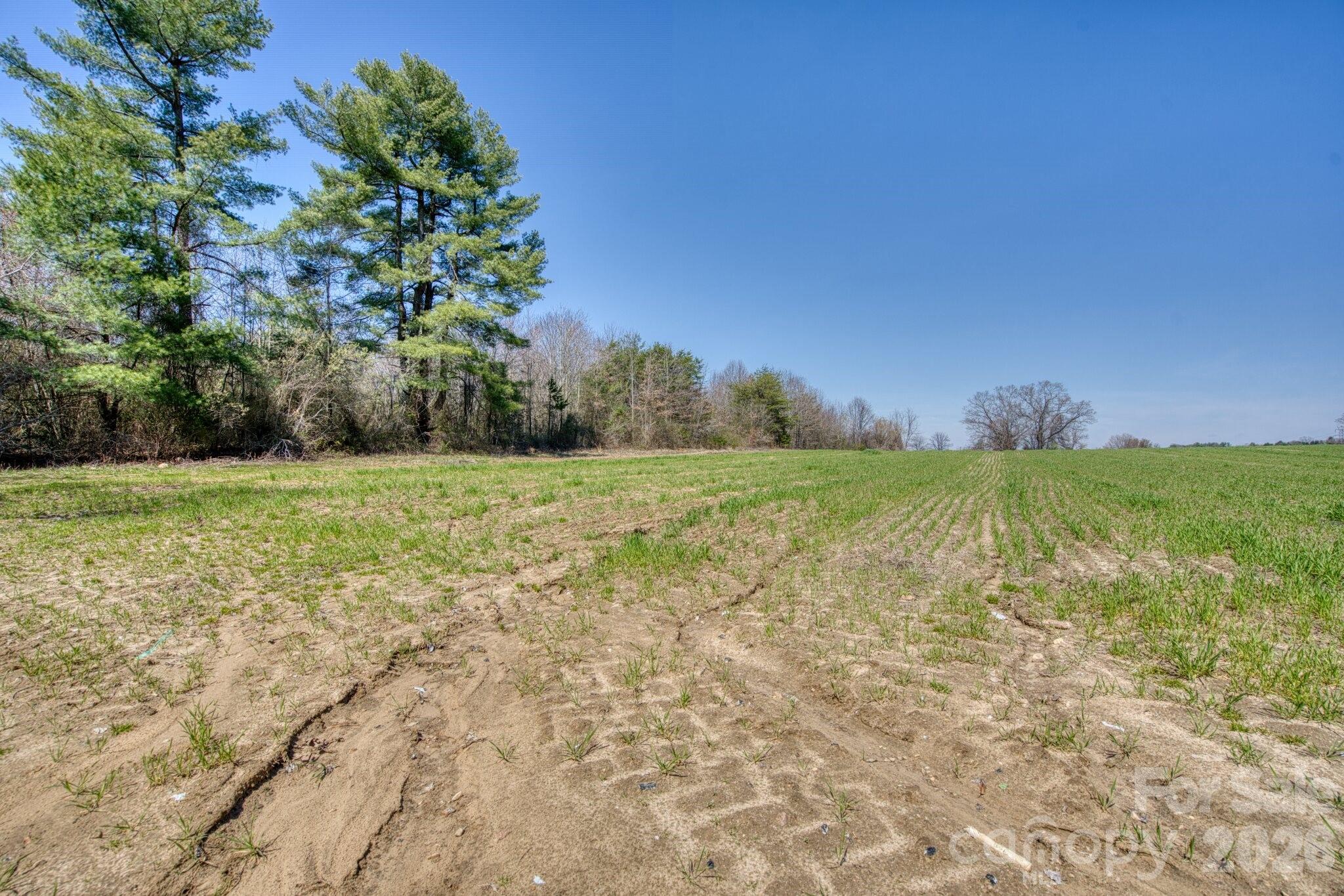 Tbd Mohican Trail Property Photo 21