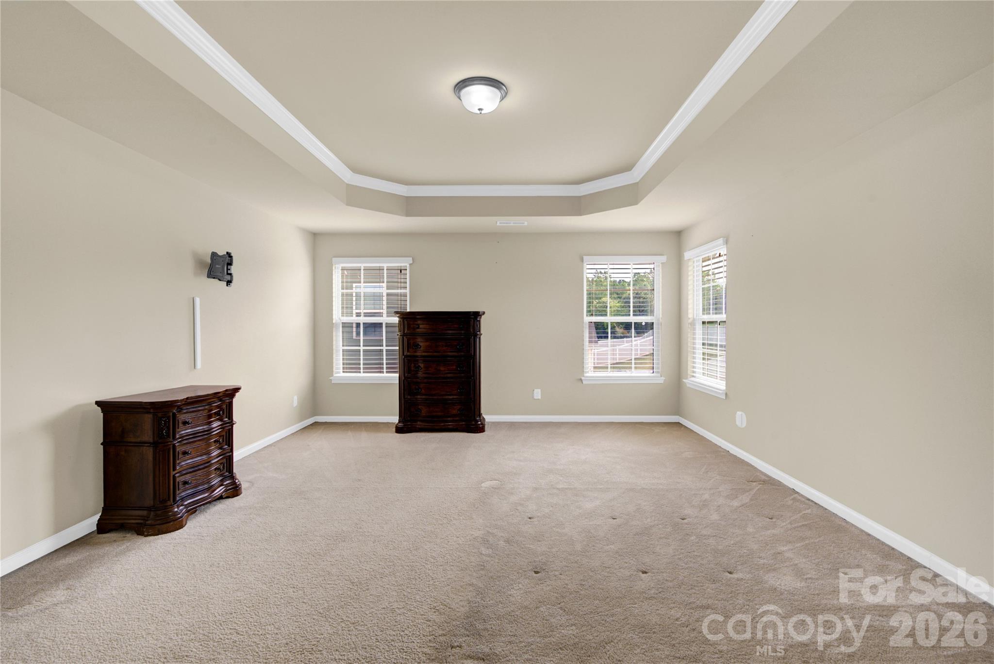 817 Wingthorn Rose Drive 34 Property Photo 38