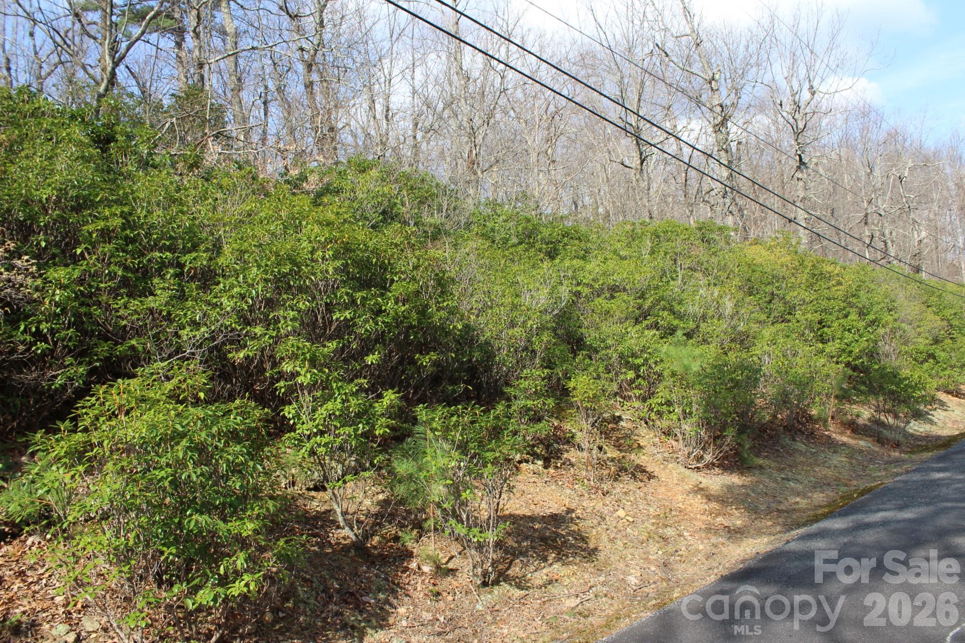 Lot 9 Sunset Ridge Drive 9 Property Photo 19